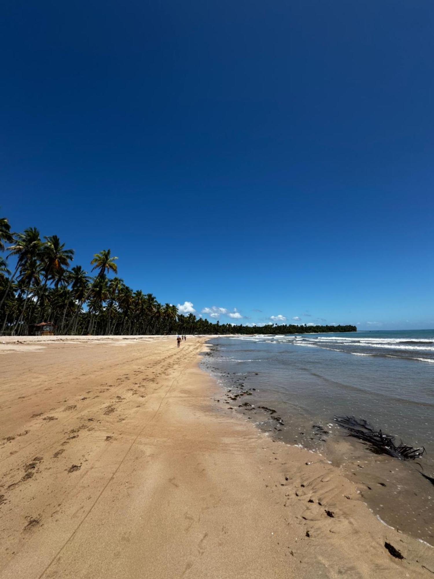 Pousada Mare Alta Em Boipeba Velha Boipeba Bagian luar foto